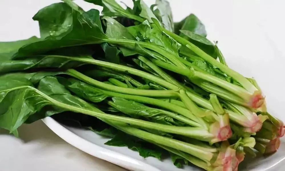 手里放一颗菠菜猜一个成语_菠菜卡通图片