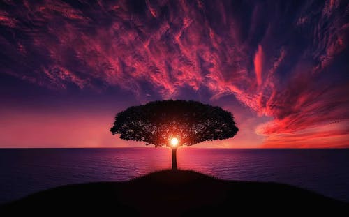 朋友圈唯美英语句子:Love the life you live 博e百娱乐国际