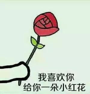 a90e0b37a1164680aa316c63aaac4961.jpeg