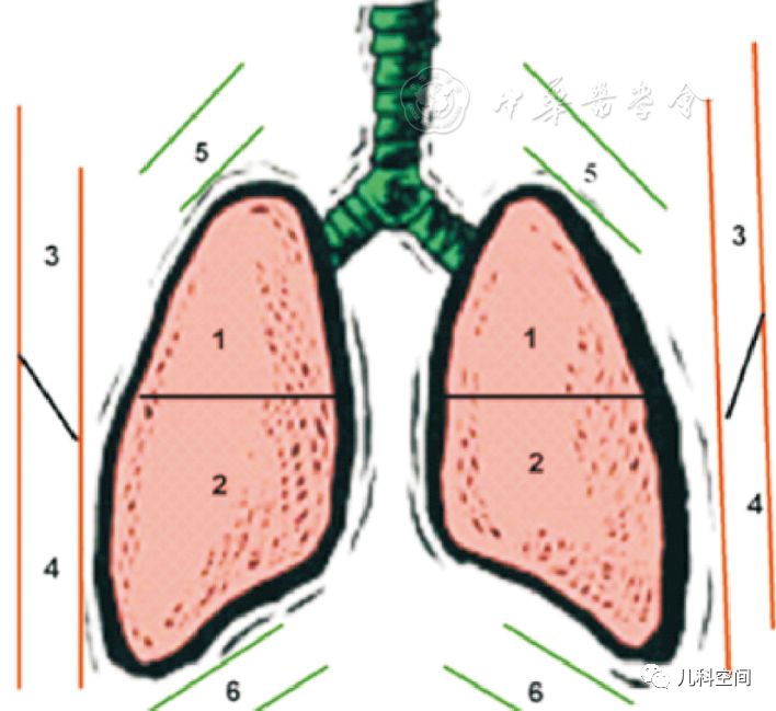 为避免检查遗漏,还可再以两乳头连线为界,将每侧肺脏分成上,下2个肺野