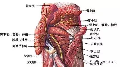 b6d51beacf844e68b9ec5551cc71059e.jpeg