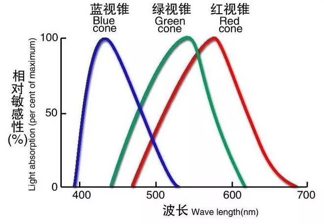 会觉人口_人口普查