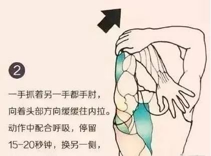 ba88a13d771b4333a55221532fc153bd.jpeg