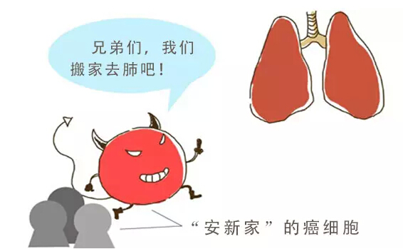 bac32220f61f4736859dff19e04ec0fe.png