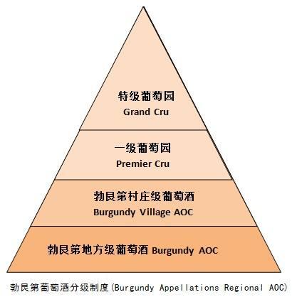 勃艮第共有33个特级园,包括26个红葡萄酒特级园和7个白葡萄酒特级园.