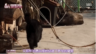 梦龙:宝宝心里苦