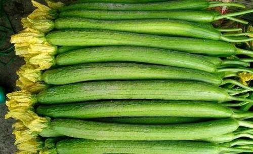 此外冬瓜是一种优质的高钾低钠蔬菜,夏日缺钾会出现四肢乏力,精神萎靡