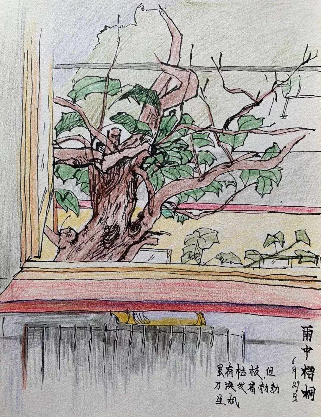 文章配图