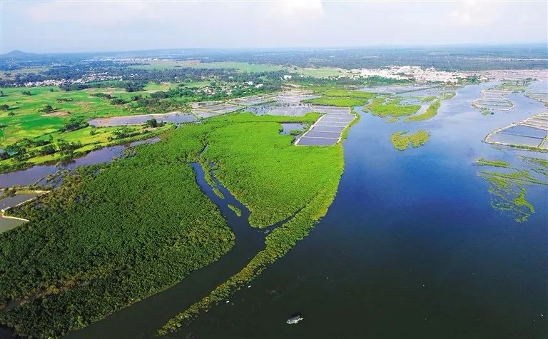 国家生态文明试验区丨生态文明建设再升级 美丽海南将写新篇章