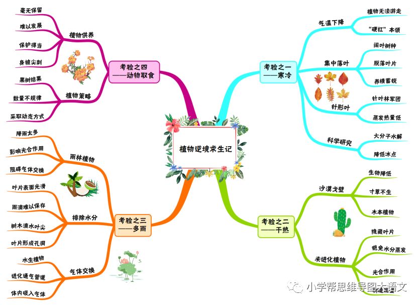 ▏"将科普文章变成思维导图"活动!