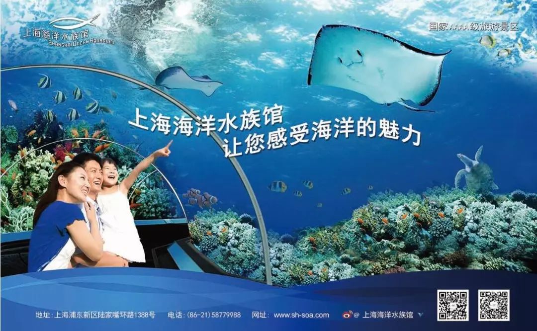 游览体验更佳~ 有出行计划的小伙伴,请以上海海洋水族馆官方
