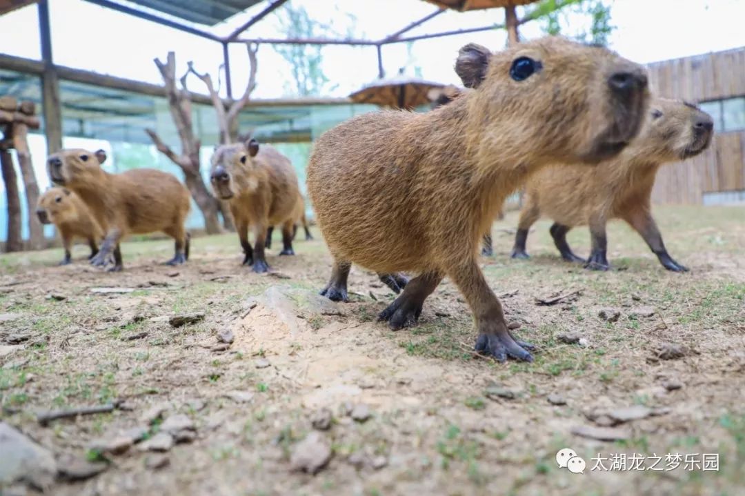 d34a0c4fd3894f97a8013561014e477e.jpeg