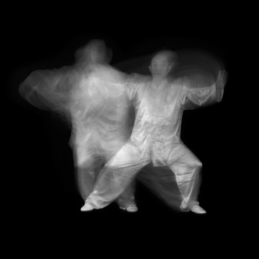 《太极图典》陈正雷世家卷陈氏太极拳老架一