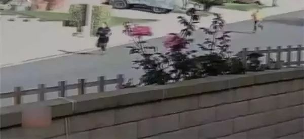1 前段时间看了一则国外的新闻,有一名母亲名叫帕洛斯(音译),有一天