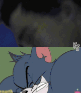 事实证明……原来汤姆猫是复仇者联盟的前辈!