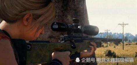 绝地求生怎么下枪皮肤 da3cd1cbc6b0450d8d8c56355b6f8e59.jpeg