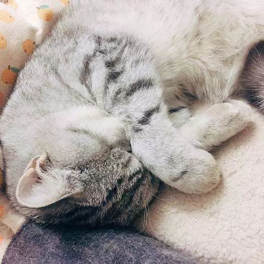 不好意思说英文是什么?不是I'm sorry to say!