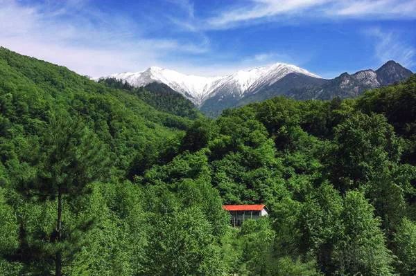 近日,连接秦岭主峰太白山和第二高峰鳌山的跑马梁上白雪皑皑,与山下的