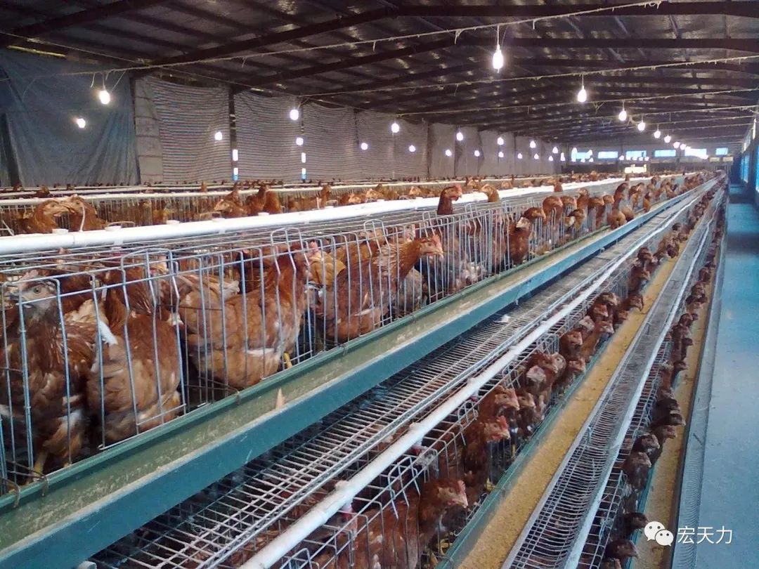 多少斤是一吨呢 df4f871c2136441c9800ec4c59532d0a.jpeg