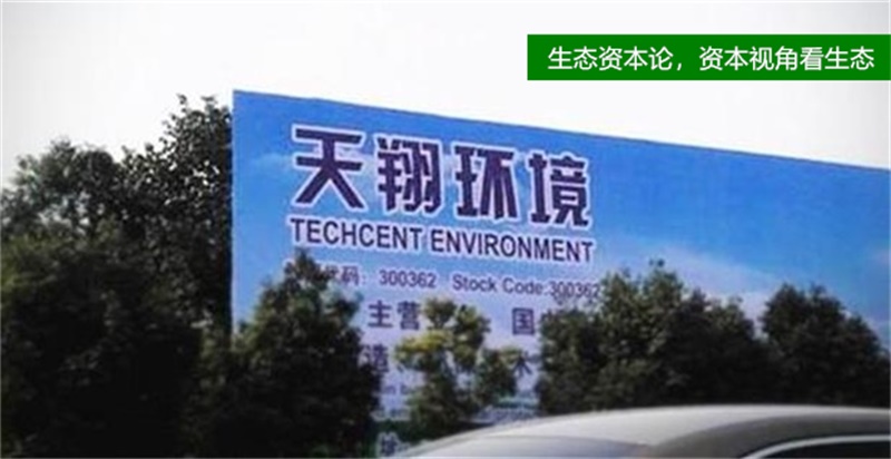 天翔环境被认定违规,上市公司成了"唐僧肉"?