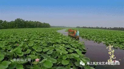 华文视讯海上风散文湿地印象作者丁继松庄艳平演播军哥雨霏霏