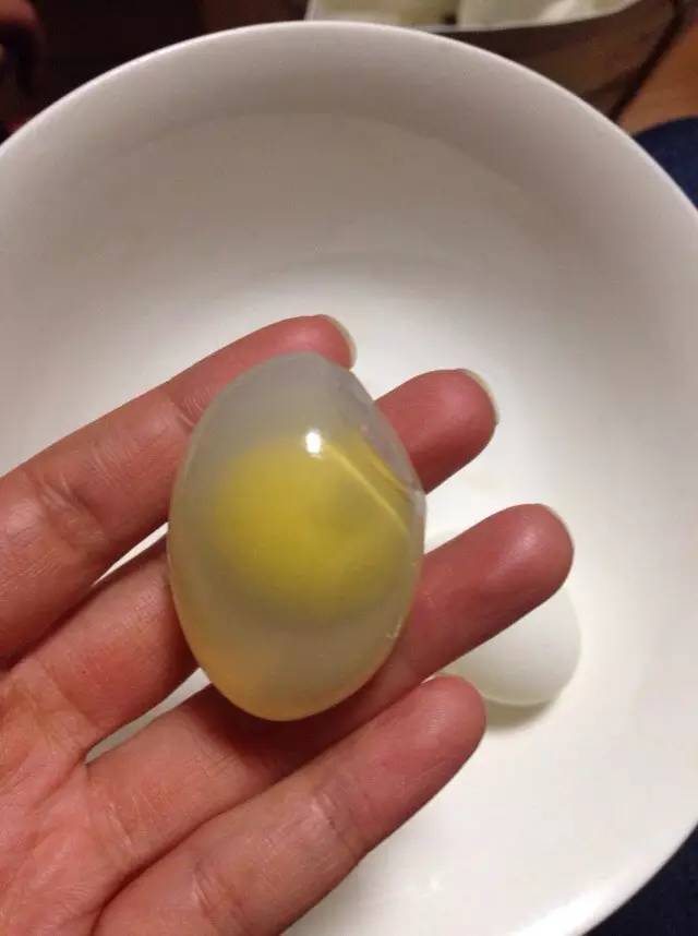 小小鸽子蛋里居然有这个东西被称动物人参