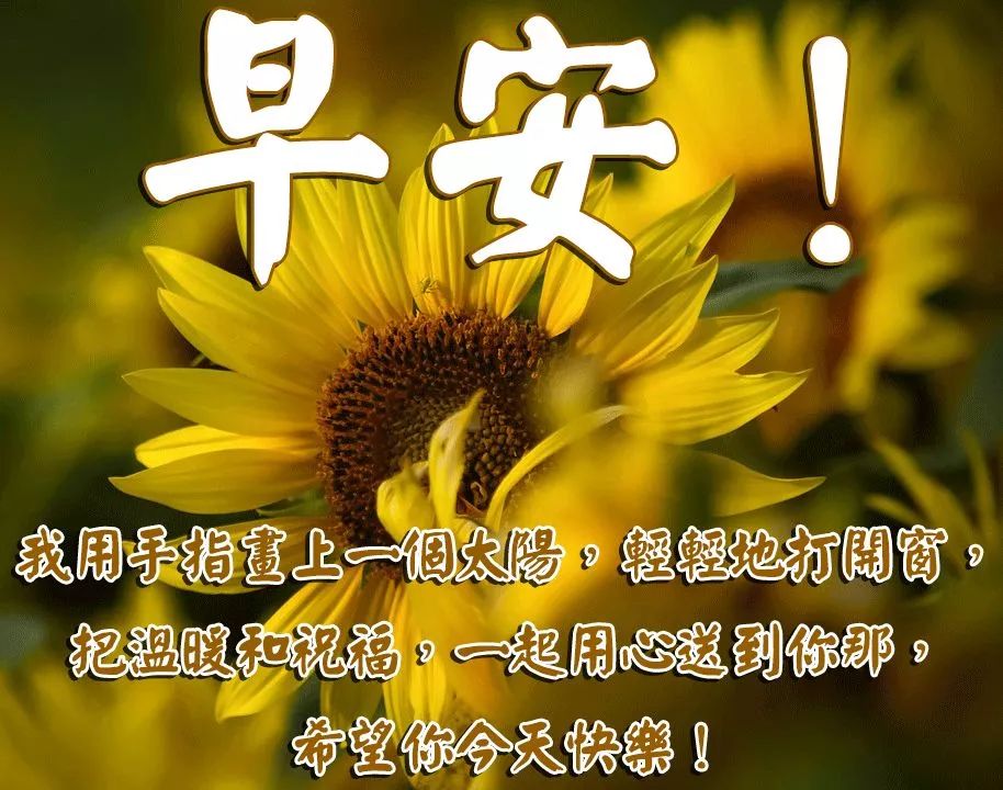 最新版早安温馨祝福短句 2019最漂亮祝福早安图片动态