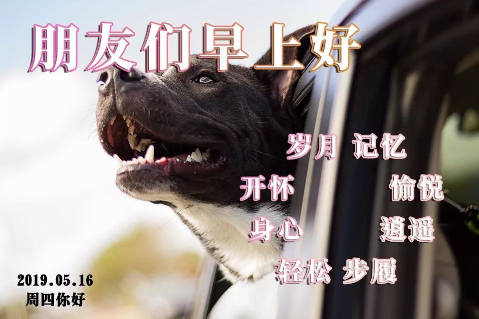 漂亮早上好温馨祝福语动态图片唯美早上好暖心问候语图片带字