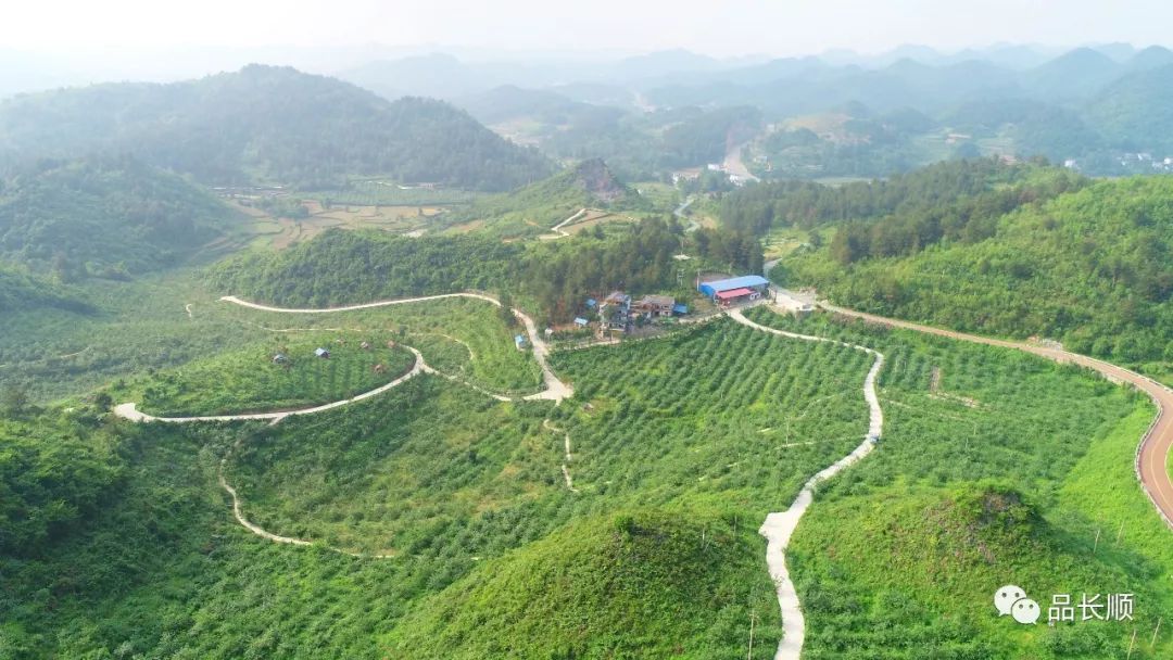 长顺县有多少人口_就算大雨让这座城市颠倒,公司照样算你迟到 成都今早 看海