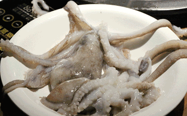 0262ef198d9c45ac9e4b7d297dd94a0c.gif