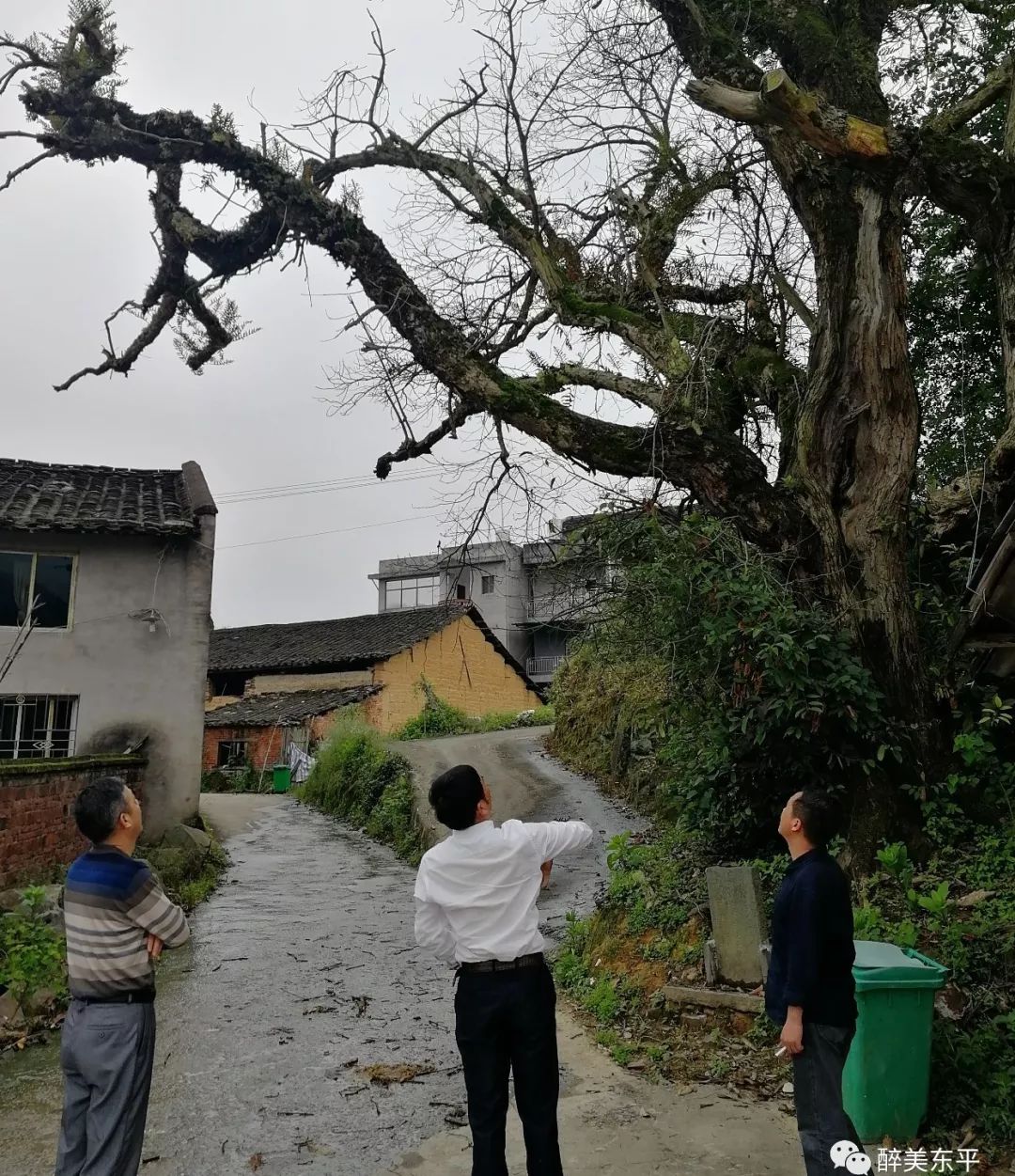 乡村振兴 | 东平镇多举措严把安全关