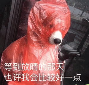 300_287 gif 动态图 动图