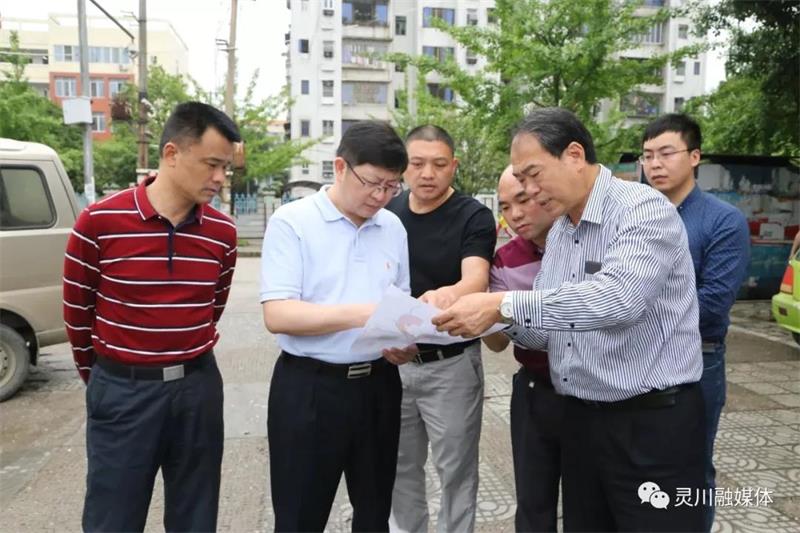 灵川县县长胡焕忠(左二)实地调研项目现场