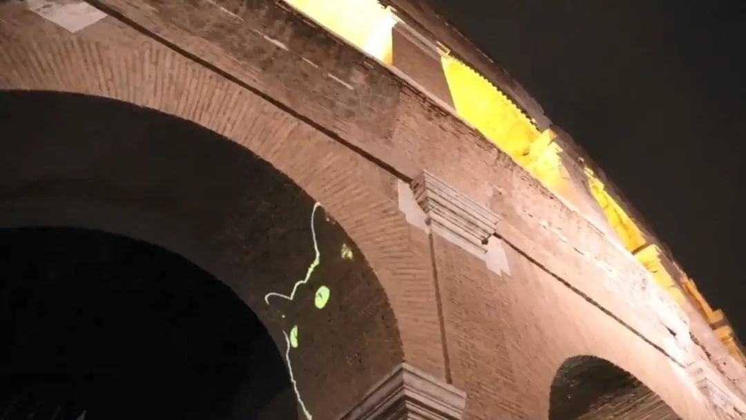 最近羅馬街頭驚現巨型光雕藝術貓咪，才發現貓咪還可以這麼玩！ 未分類 第3張
