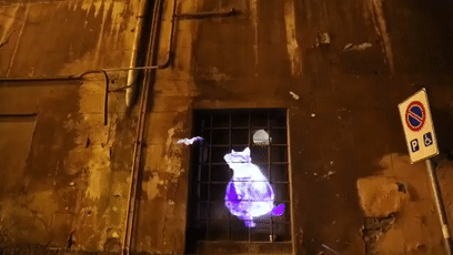 最近羅馬街頭驚現巨型光雕藝術貓咪，才發現貓咪還可以這麼玩！ 未分類 第10張