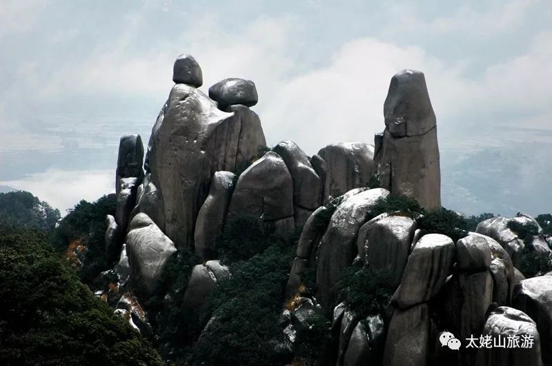 点击观看视频▼来源:太姥山旅游图片:释长净,白荣敏,李步登,陈金夷