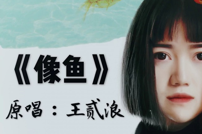 王贰浪原创歌曲《像鱼》成爆款 快手音乐人计划助力好声音找到"知音