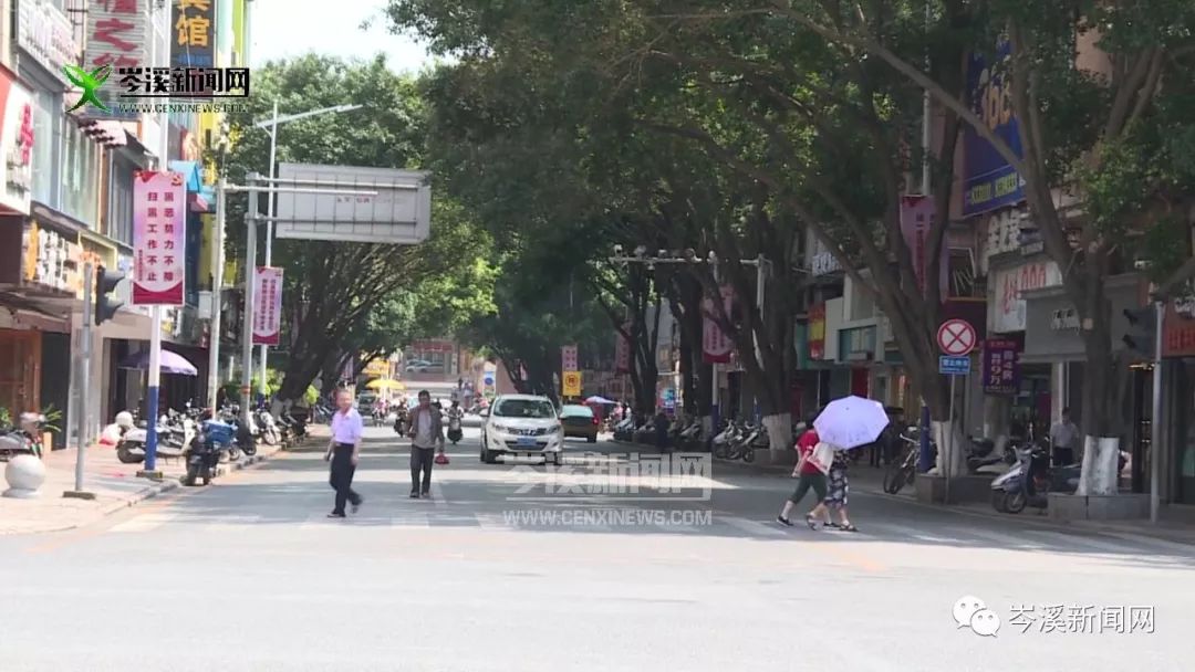 岑溪有多少人口_岑溪那里有封闭的学校