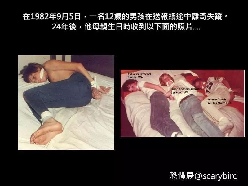 恐惧鸟作品《送报纸的男孩失踪案》配图