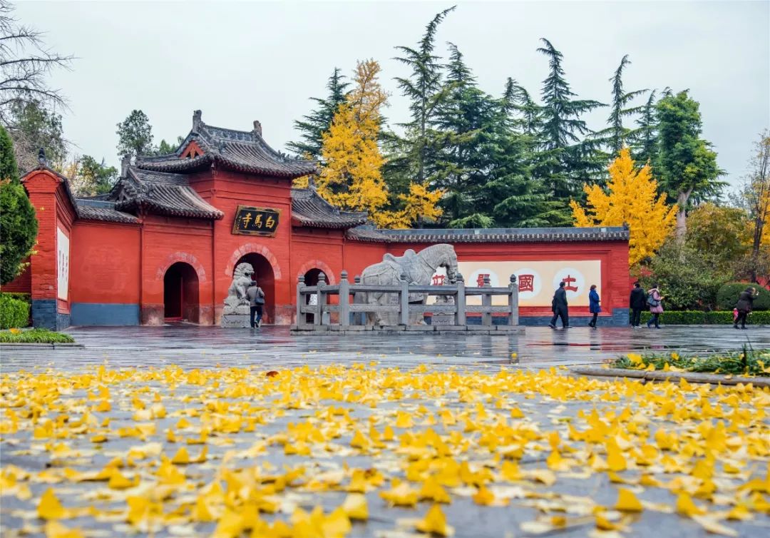 白马寺人口_洛阳白马寺图片