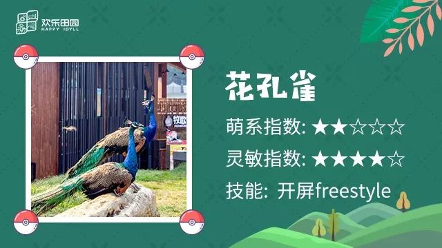 唤醒童年记忆 | "欢乐田园神奇宝贝"之"猜猜我是谁"