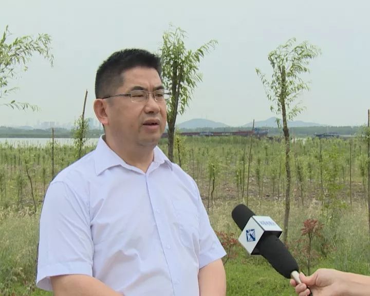 生态复绿增绿,扮靓黄金水道,和县这个镇的书记做得很棒!