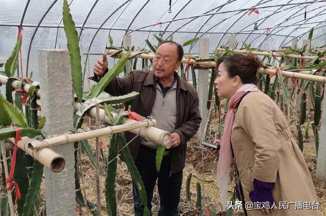 宝鸡市蟠龙镇人口_宝鸡市金台区蟠龙镇 生态优先铺就脱贫路(2)