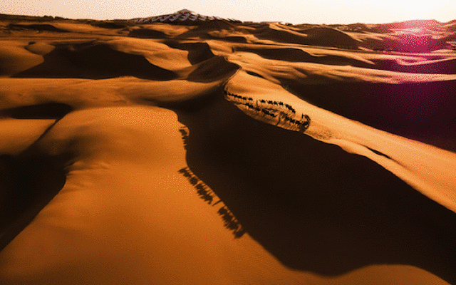 不用去荷兰,赏世界最大