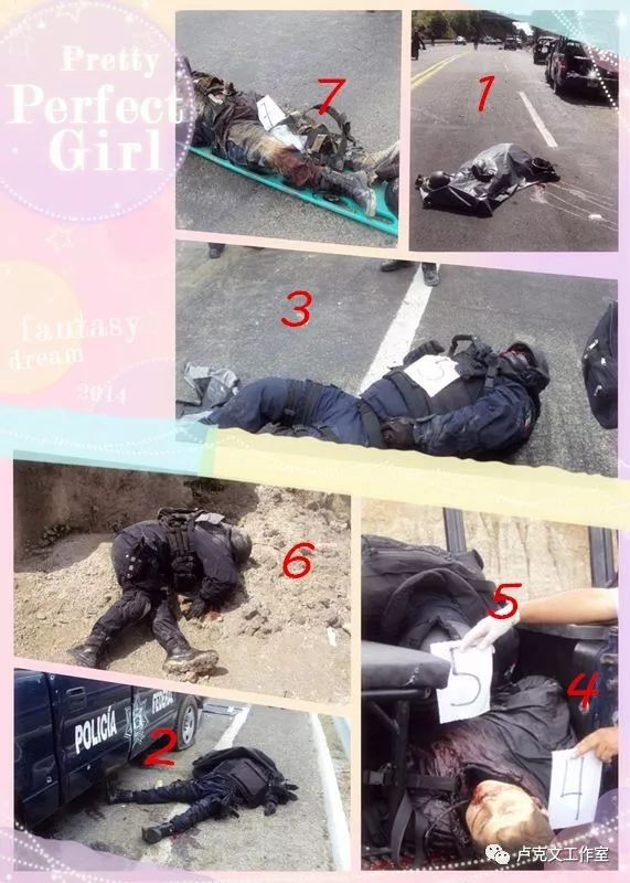 毒品战争：墨西哥往事