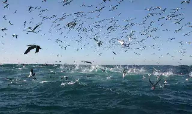 了解海洋资源 4057ec80f44b4a8bac6355093cb353b2.jpeg