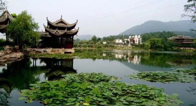 周日铜陵这些景点免费或半价周边百余景点也大优惠太爽啦
