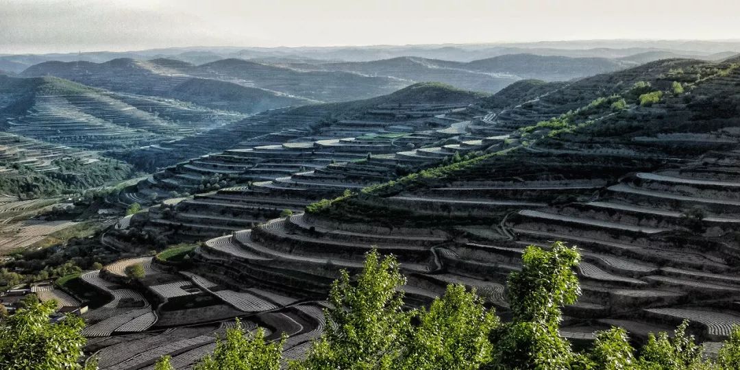 静宁人口_静宁苹果图片