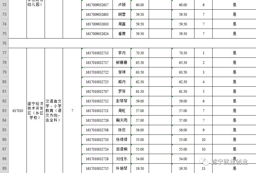 四川遂宁市2019经济总量_四川遂宁市大英县图片