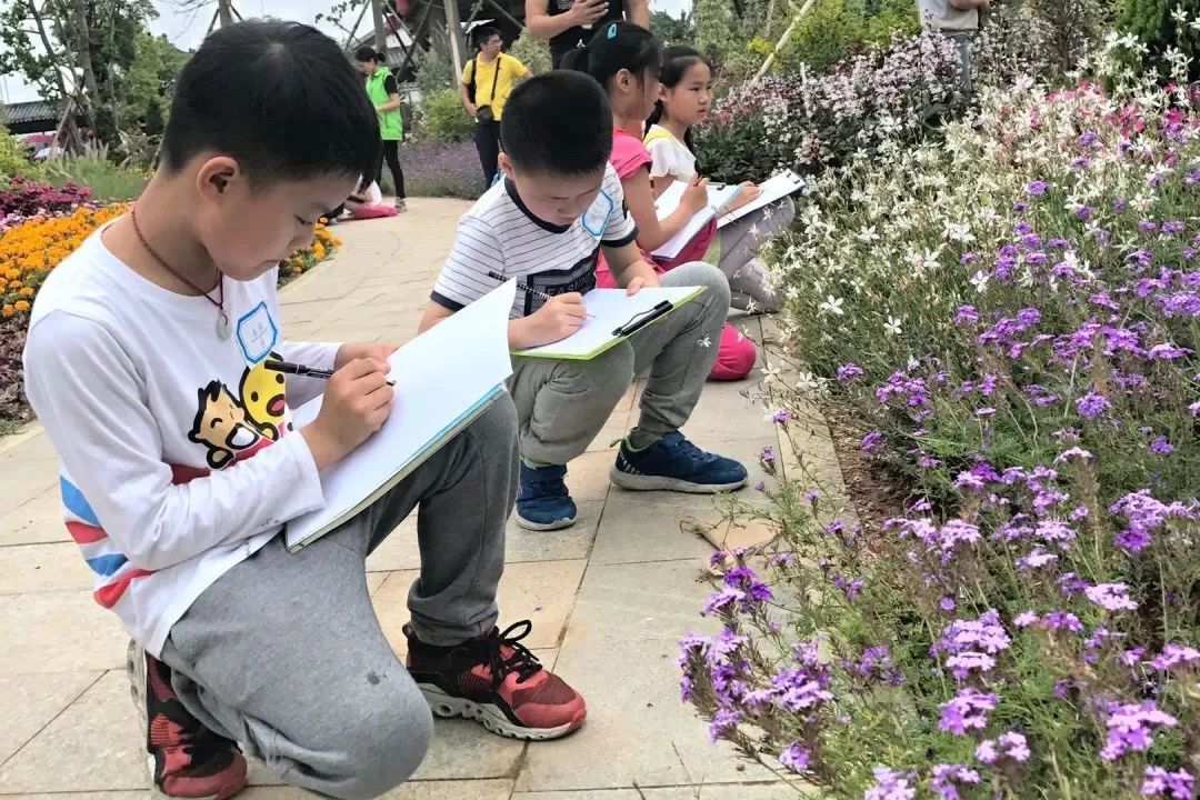 由市环保部门主导的中小学生植物观察比赛,通过自然游戏,植物导赏引领